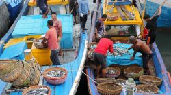 Nelayan Sulit Melaut Ekses Cuaca Ekstrem, Harga Ikan di Sabang Naik, Penjual di Rumah Makan Mengeluh